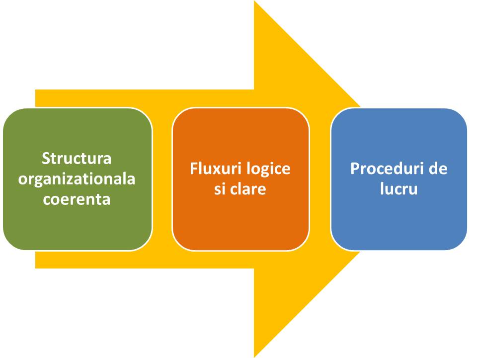 Organizare interna